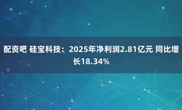 配资吧 硅宝科技：2025年净利润2.81亿元 同比增长18.34%