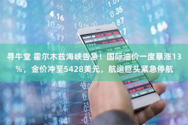 寻牛堂 霍尔木兹海峡告急！国际油价一度暴涨13％，金价冲至5428美元，航运巨头紧急停航